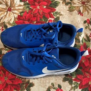 Nike Royal Blue and White Athletic Shoes